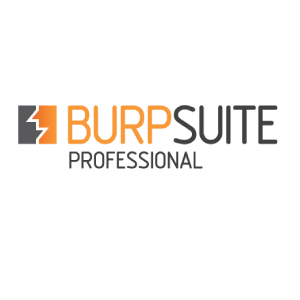 6133 Burp Suite Professional 2020.5.1 Build 2921+Loader สำหรับทดสอบระบบความปลอดภัยบนเว็บไซต์