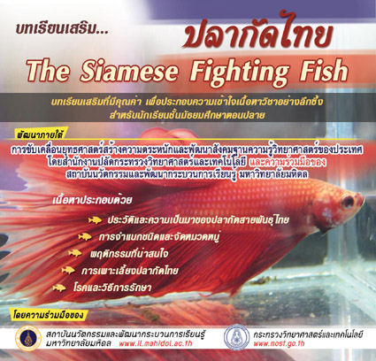 2638 ปลากัดไทย