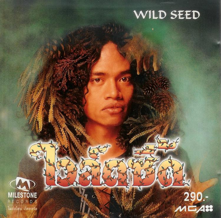 M648 Wild Seed ไวล์ซี้ด 2 อัลบั้ม