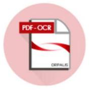 7934 ORPALIS PDF OCR 1.1.42 Professional +Crack แปลงไฟล์เอกสารต่างๆ ให้เป็นไฟล์ PDF