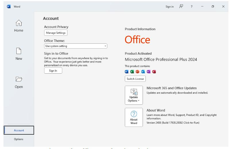 9308 Microsoft Office Professional Plus 2021-2024 VL v2506 Build 18925.20158 (x64) Final