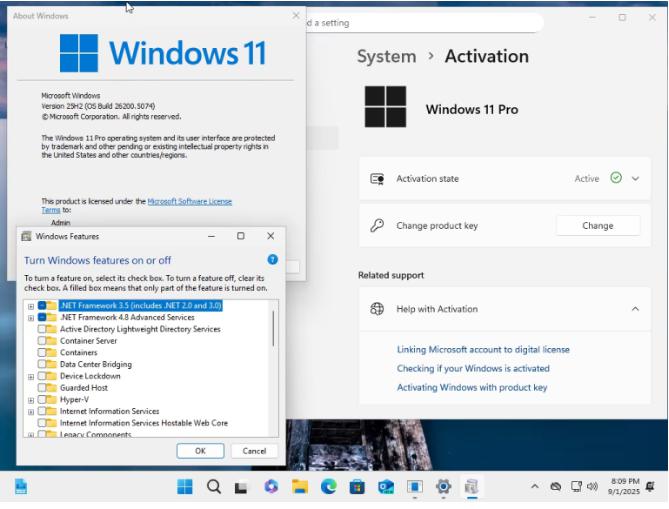 9394 Windows 11 AIO 16in1 24H2 Build 26100.6584 TPM Bypassed Pre-Activated September 2025