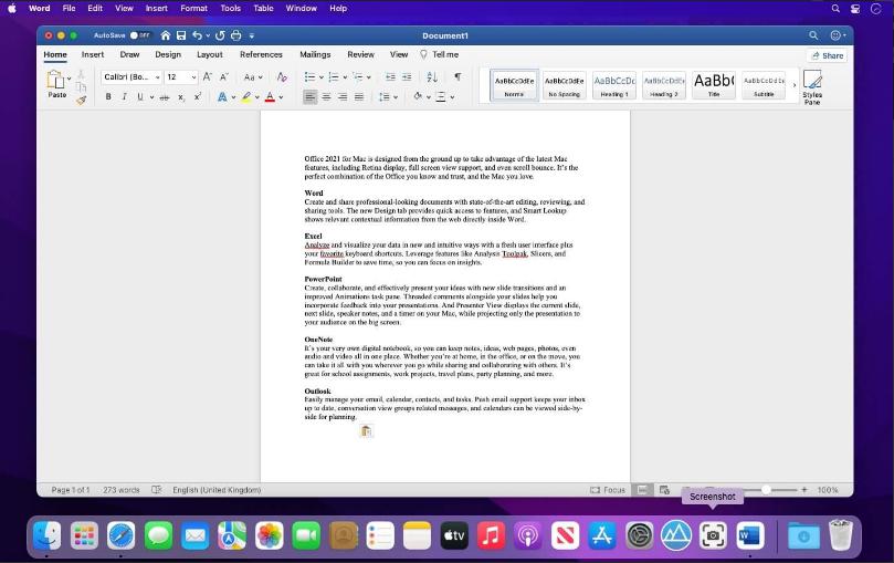 Microsoft Office 2024 v16.101 ( MacOS )
