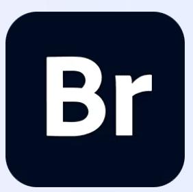 Adobe Bridge 2026 v16.0.2 จัดการไฟล์ Adobe