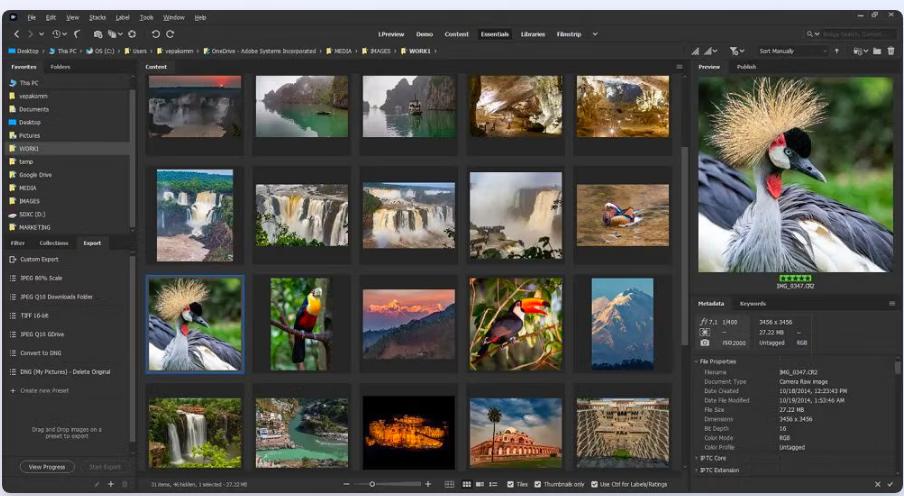 Adobe Bridge 2026 v16.0.2 จัดการไฟล์ Adobe