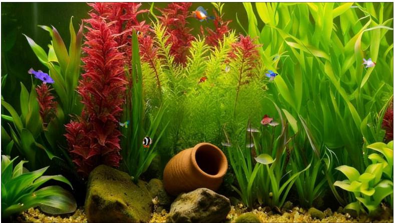 AI Aquarium Screensaver 1.3 สกรีนเซฟเวอร์ตู้ปลา
