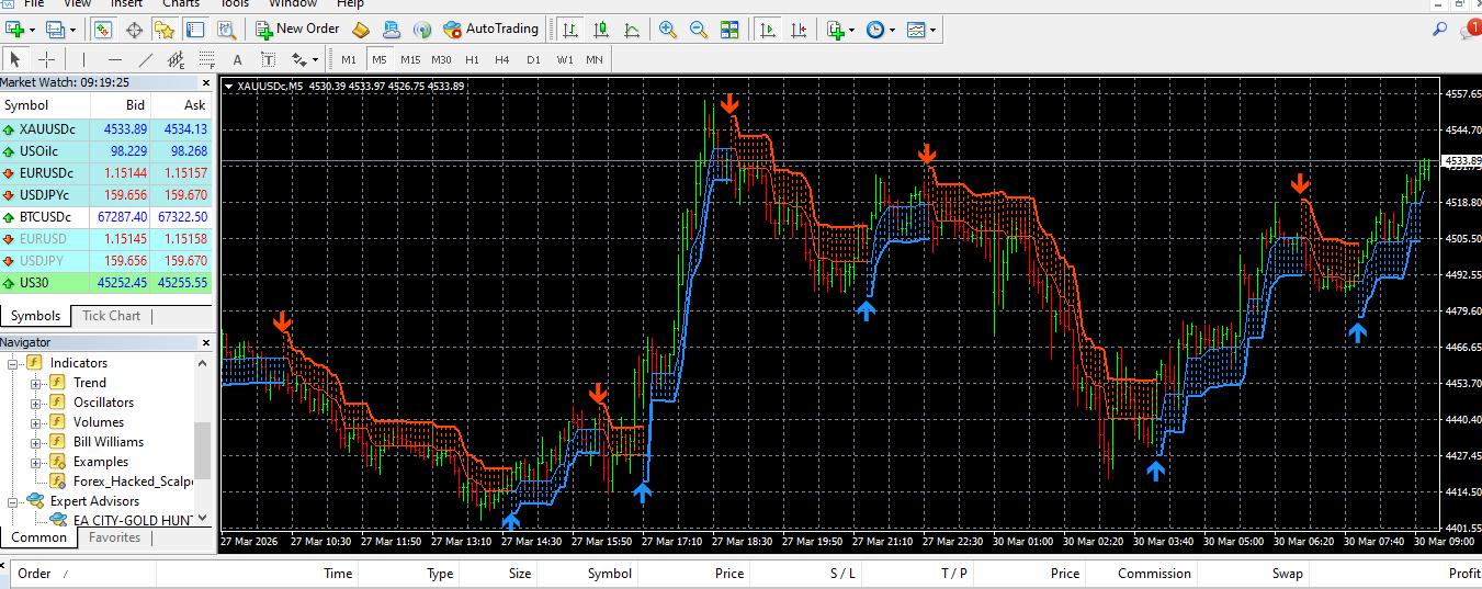 ระบบช่วยเทรด Indicator Forex Hacked Scalper MT4/MT5