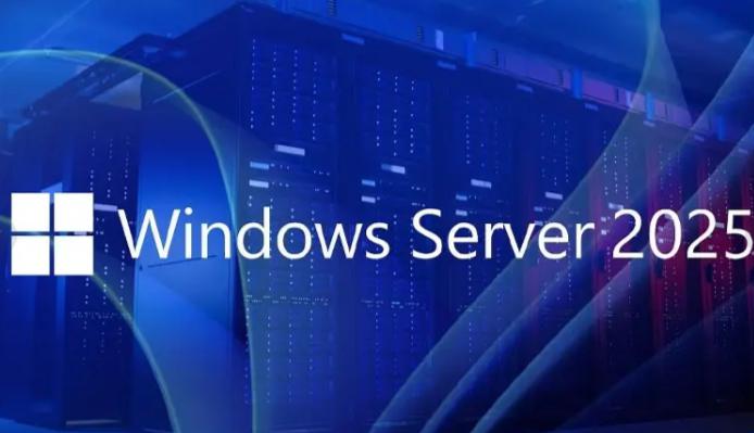 9236 Windows Server 2025 LTSC 24H2 Build 26100.3775 (x64) English MSDN April 2025