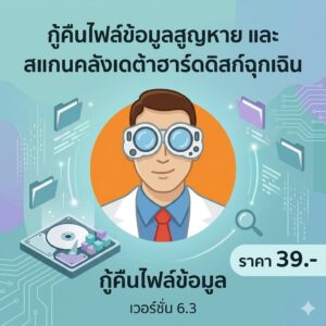 โปรแกรมกู้คืนไฟล์ข้อมูลสูญหายและสแกนคลังเดต้าฮาร์ดดิสก์ฉุกเฉิน เวอร์ชัน 6.3