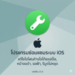(MacOS) โปรแกรมซ่อมแซมระบบ iOS แก้ไขไอโฟนค้างโลโก้แอปเปิ้ล หน้าจอดำ จอฟ้า รีบูตไม่หยุด เวอร์ชัน 2.5.5