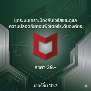 ชุดระบบเกราะป้องกันไวรัสและดูแลความปลอดภัยคอมพิวเตอร์ระดับองค์กร เวอร์ชัน 10.7