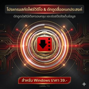 โปรแกรมสกัดไฟล์วิดีโอ ดักดูดสื่อมัลติมีเดียอเนกประสงค์ และเร่งสปีดการจัดเก็บข้อมูล สำหรับ Windows